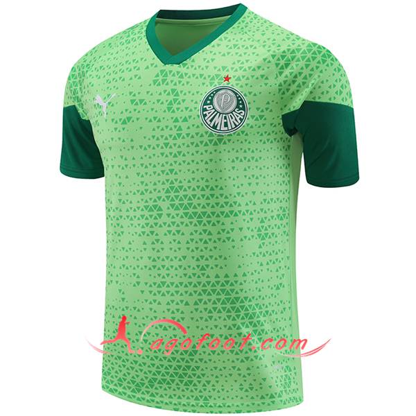 Training T-Shirts Palmeiras Vert 2024/2025 -04