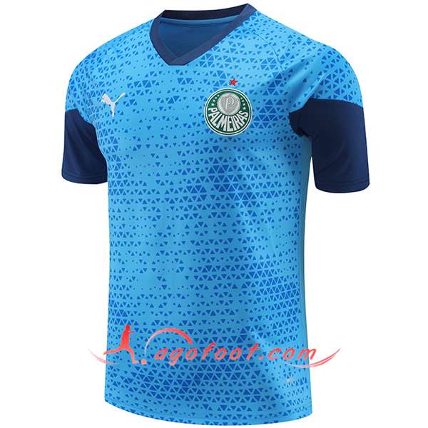Training T-Shirts Palmeiras Bleu 2024/2025
