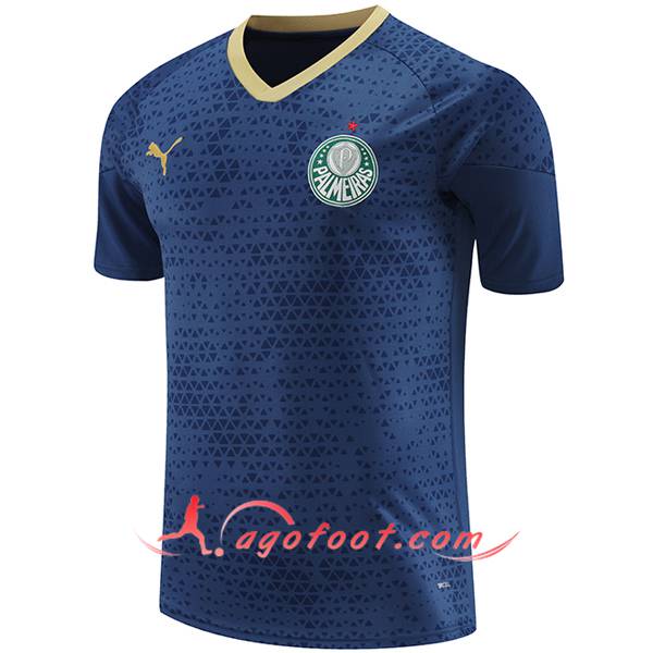Training T-Shirts Palmeiras Bleu Marine 2024/2025