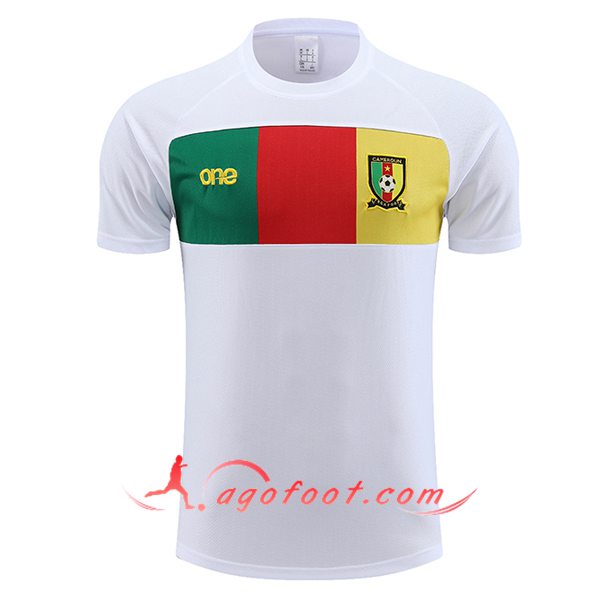Training T-Shirts Cameroun Blanc 2024/2025