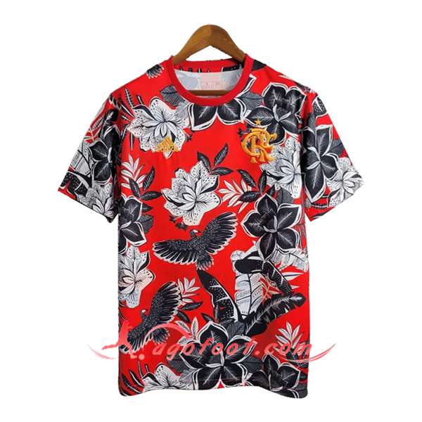 Maillot de Foot Flamengo Special Edition Rouge/Noir 2024/2025