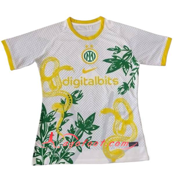 Maillot de Foot Inter Milan Special Edition Blanc 2024/2025