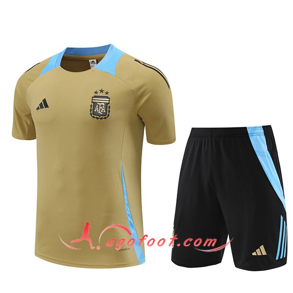 Ensemble Training T-Shirts Argentin Jaune/Bleu 2024/2025