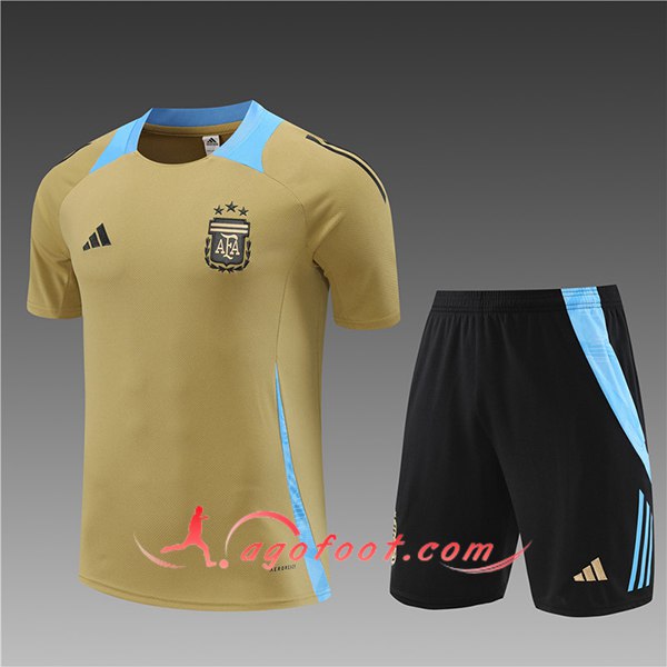 Ensemble Training T-Shirts Argentin Enfant Jaune/Bleu 2024/2025