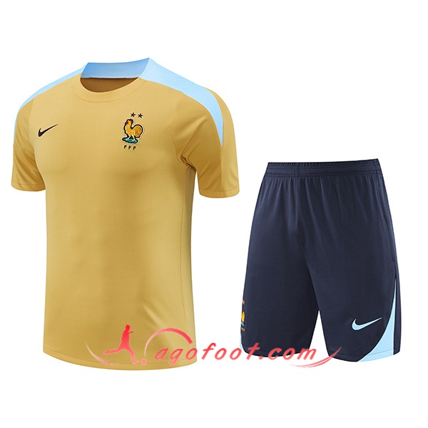 Ensemble Training T-Shirts France Jaune/Bleu 2024/2025