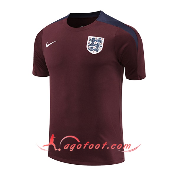 Training T-Shirts Angleterre Rouge/Bleu 2024/2025