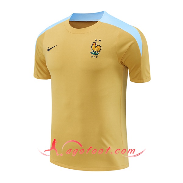 Training T-Shirts France Jaune/Bleu 2024/2025