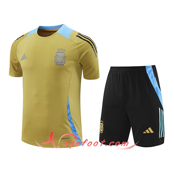 Ensemble Training T-Shirts Argentine Jaune/Bleu 2024/2025