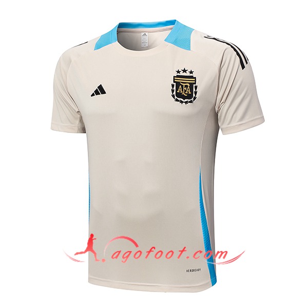 Training T-Shirts Argentine Beige/Bleu 2024/2025
