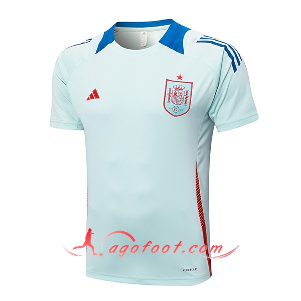Training T-Shirts Espagne Bleu Clair 2024/2025