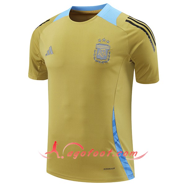 Training T-Shirts Argentine Jaune/Bleu 2024/2025