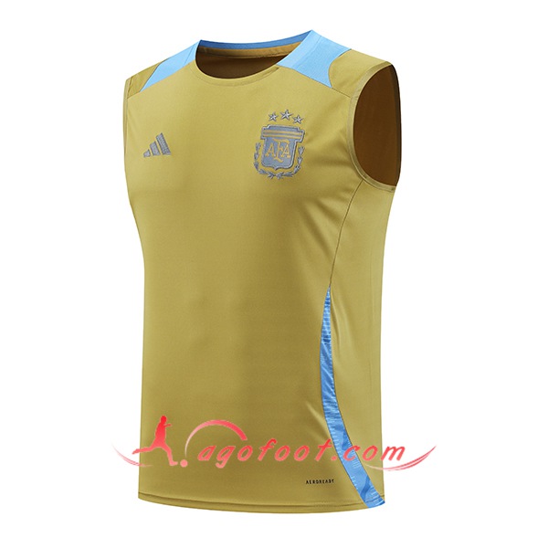 Training Debardeur Argentine Jaune/Bleu 2024/2025
