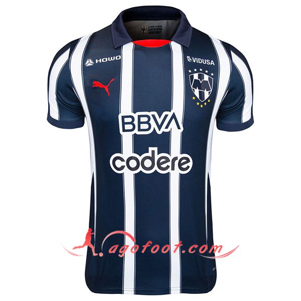 Nouveau Maillot de Foot Monterrey Domicile 2024/2025