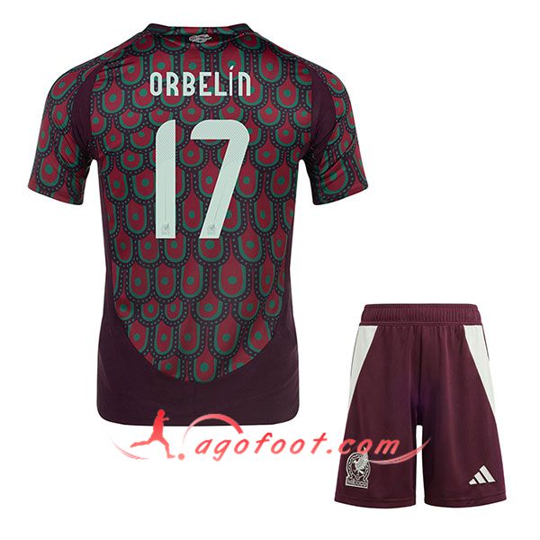 Maillot Equipe Foot Mexique (ORBELIN #17) 2024/2025 Domicile