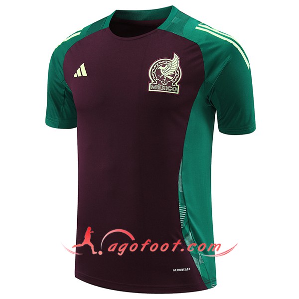 Training T-Shirts Mexique Vert/Brun 2024/2025