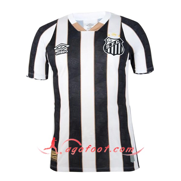 Nouveau Maillot de Foot Santos FC Exterieur 2024/2025