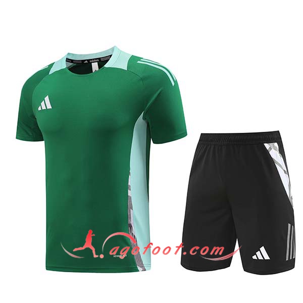 Ensemble Training T-Shirts Adidas Vert 2024/2025