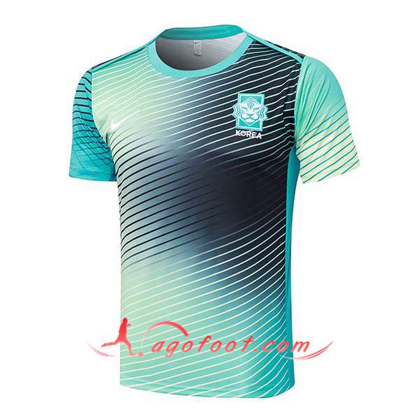 Training T-Shirts Corée Du Sud Vert/ 2024/2025