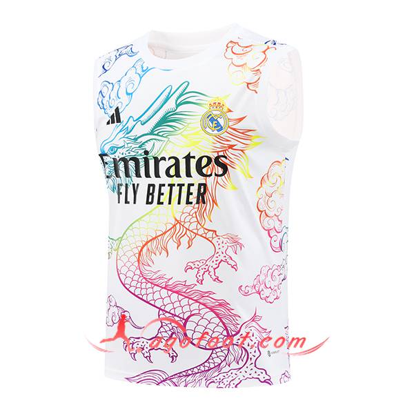 Training Debardeur Real Madrid Blanc 2024/2025