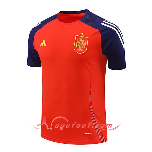 Training T-Shirts Espagne Rouge/Bleu 2024/2025