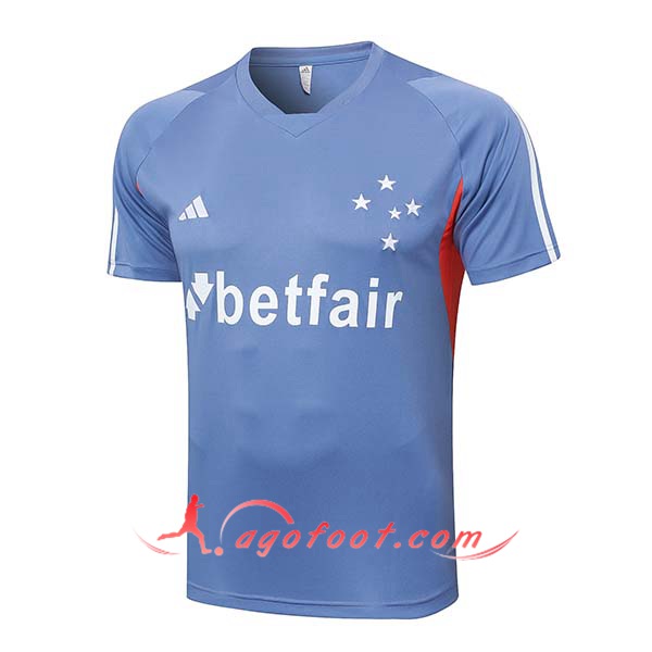 Training T-Shirts Cruzeiro Gris/Orange 2024/2025