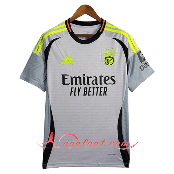Training T-Shirts S.L.Benfica Gris/Noir/Vert 2024/2025
