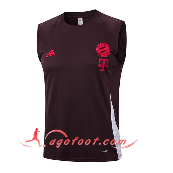 Training Debardeur Bayern Munich Brun/Rouge 2024/2025