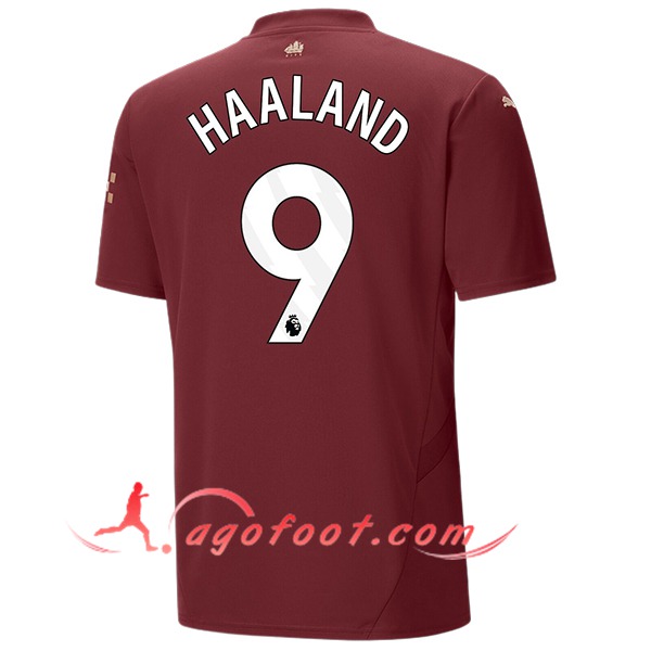 Maillot de Foot Manchester City (HAALAND #9) 2024/2025 Third