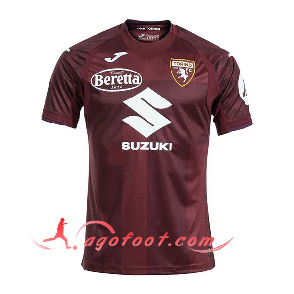 Nouveau Maillot de Foot Torino Domicile 2024/2025
