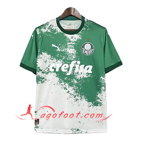 Maillot de Foot Palmeiras Special Edition Blanc/Vert 2024/2025