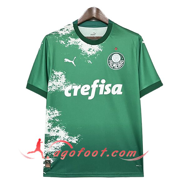 Maillot de Foot Palmeiras Special Edition Vert 2024/2025 -02