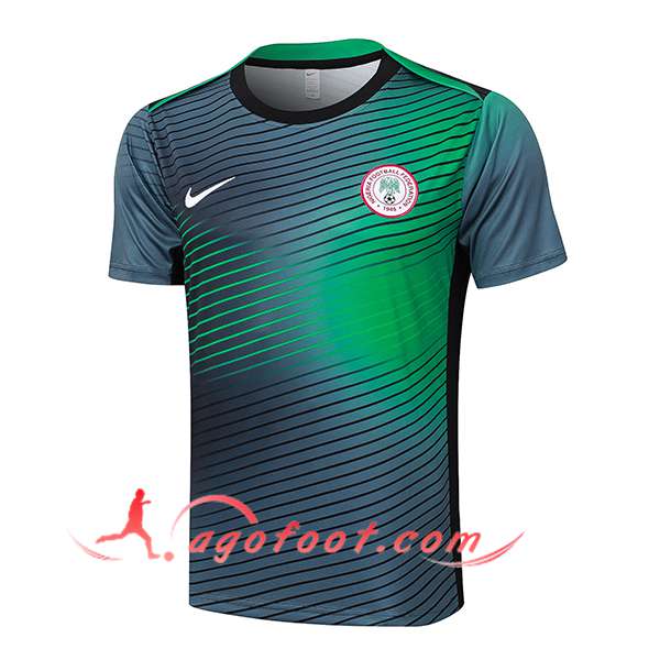 Training T-Shirts Nigeria Gris/Vert 2024/2025