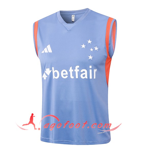 Training Debardeur Cruzeiro Gris/Orange 2024/2025