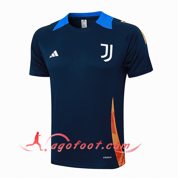 Training T-Shirts Juventus Bleu Royal 2024/2025