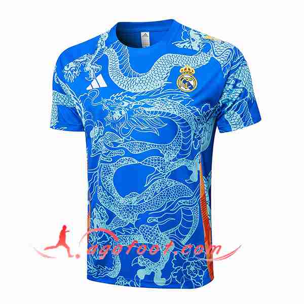 Training T-Shirts Real Madrid Bleu 2024/2025