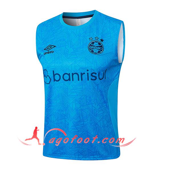 Training Debardeur Gremio Bleu 2024/2025