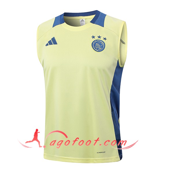 Training Debardeur Ajax Jaune/Bleu 2024/2025