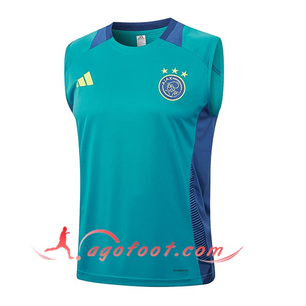 Training Debardeur Ajax Vert/Bleu 2024/2025