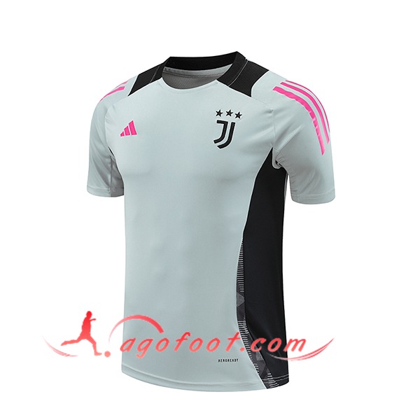 Training T-Shirts Juventus Gris/Noir 2024/2025