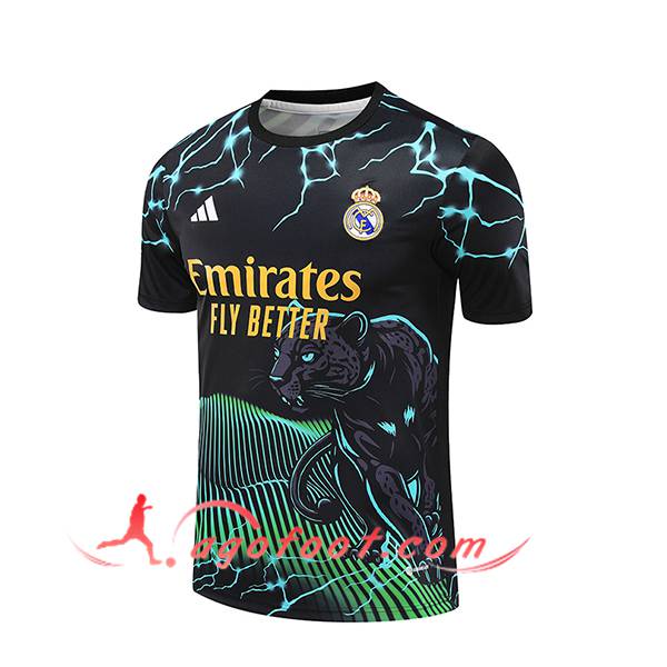 Training T-Shirts Real Madrid Noir/Vert/Jaune 2024/2025