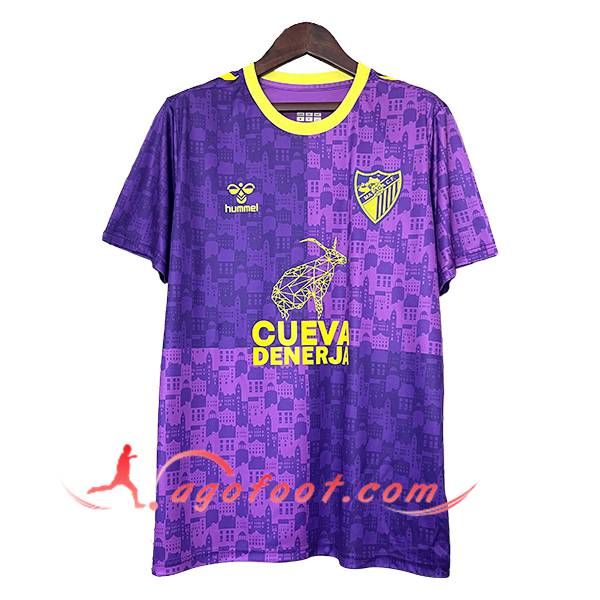 Training T-Shirts Malaga CF Pourpre/Jaune 2024/2025