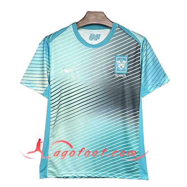 Training T-Shirts Corée Du Sud Bleu/Gris 2024/2025