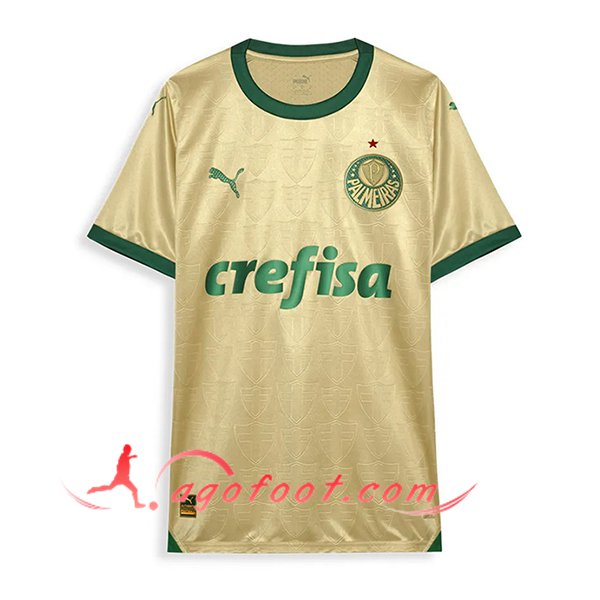 Nouveau Maillot de Foot Palmeiras Third 2024/2025