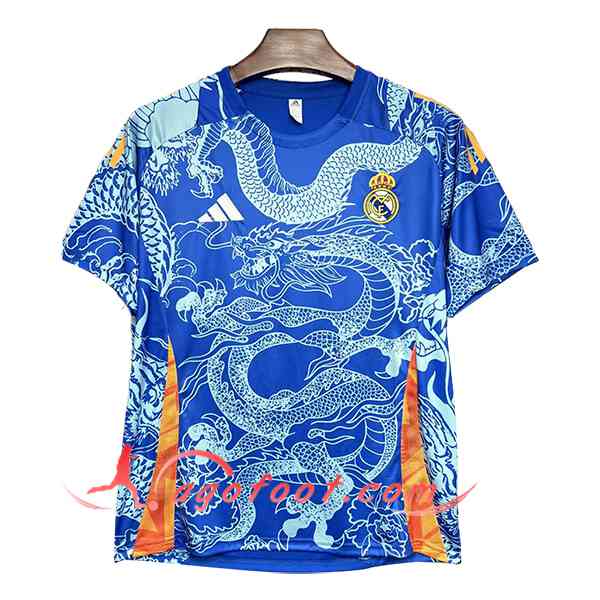 Maillot de Foot Real Madrid Special Edition Bleu 2024/2025