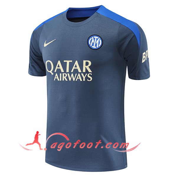 Training T-Shirts Inter Milan Gris/Bleu 2024/2025