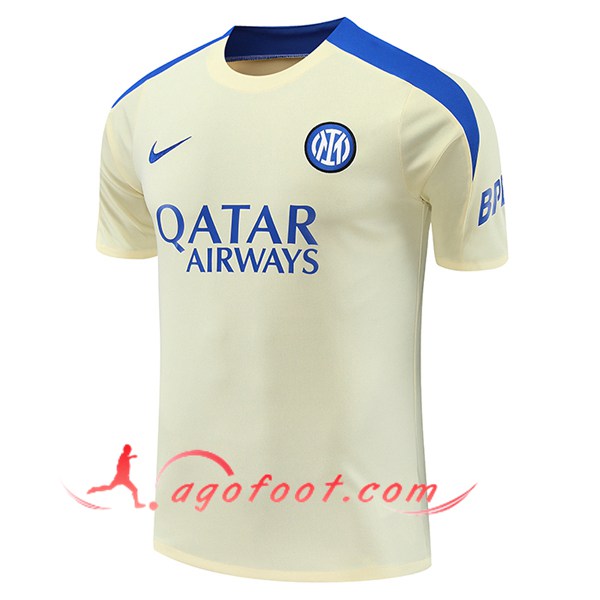Training T-Shirts Inter Milan Jaune/Bleu 2024/2025