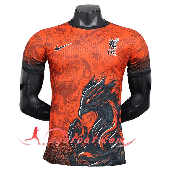 Maillot de Foot FC Liverpool Special Edition Rouge 2024/2025