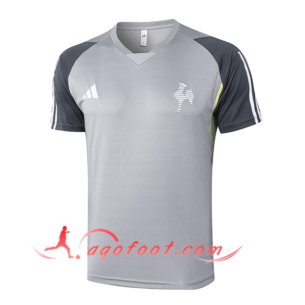 Training T-Shirts Atletico Mineiro Gris 2024/2025
