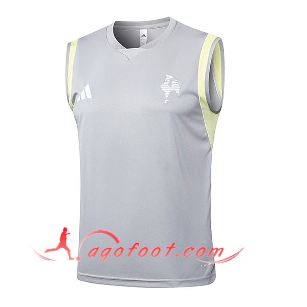 Training Debardeur Atletico Mineir Gris Clair 2024/2025