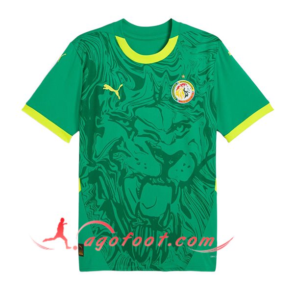 Nouveau Maillot Equipe Foot Sénégal Exterieur 2024/2025
